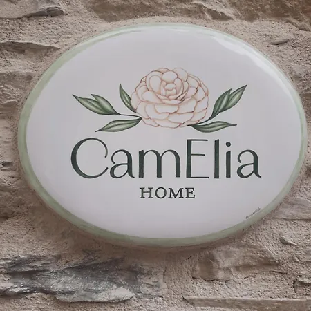 Camelia *
